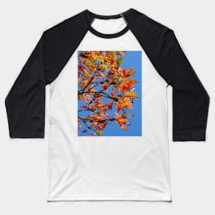 Autumn Baseball T-Shirt